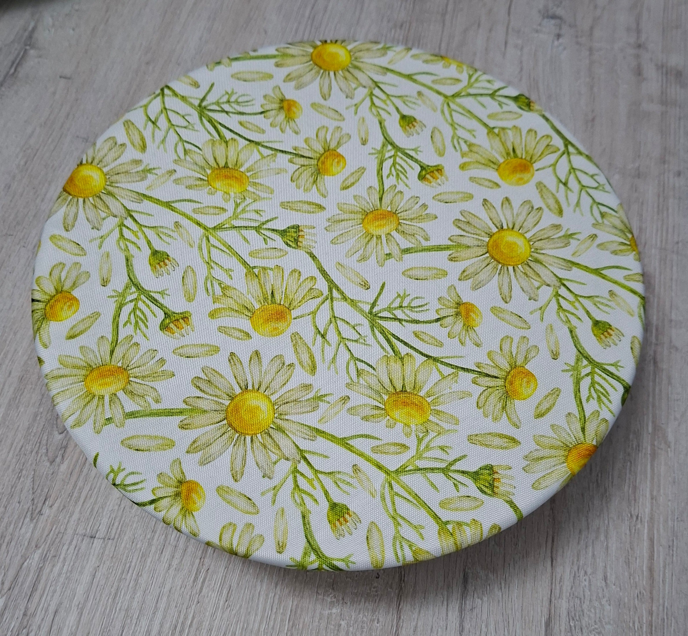 Bowl Cover (Set of 2)