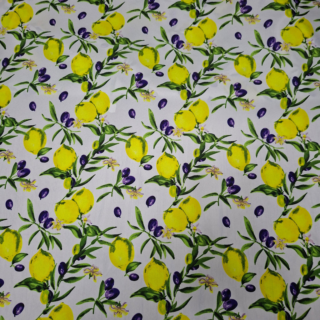 Bowl Cover (Set of 2)