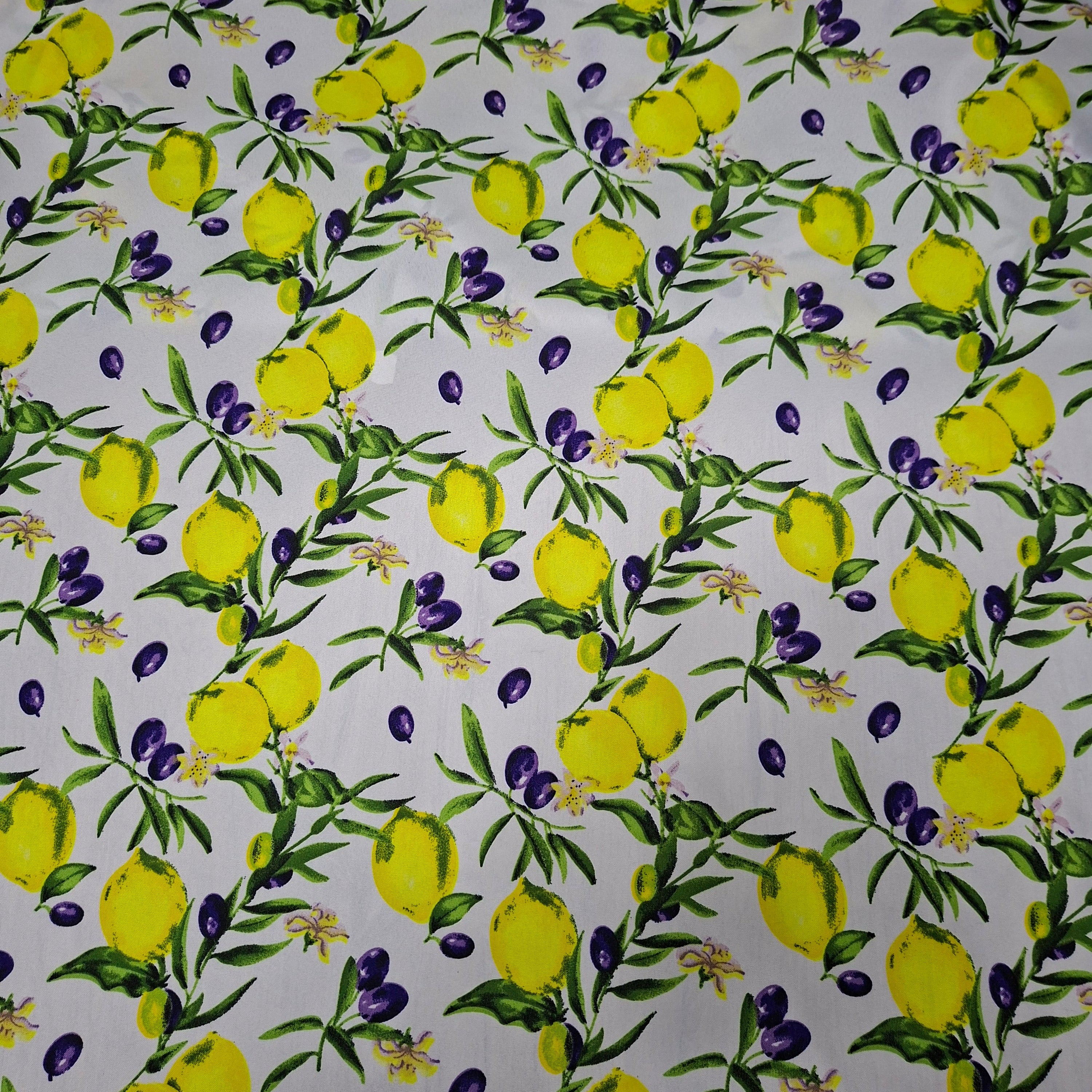 Bowl Cover (Set of 2)